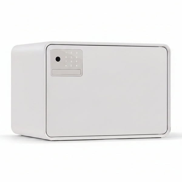 Biometric Safe for Home, 0.6 Cube Feet Auto-Open Fingerprint Safe with Touch Screen, Alarm System & Removable Shelf, Small Money Box for Cash, Jewelry, Documents, Home Office Use,White