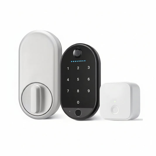 Apartment Smart Door Lock with Wi-Fi and Fingerprint Keypad Access, Silver