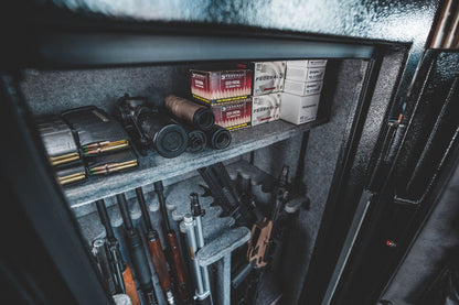 Sleek Design Gun Safe